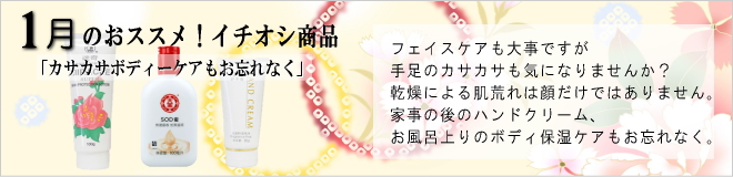 1月のおススメ商品