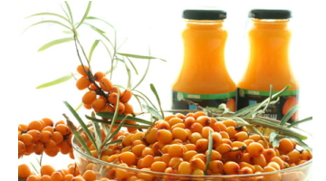 中国化粧品用語集「沙棘（サジー）」